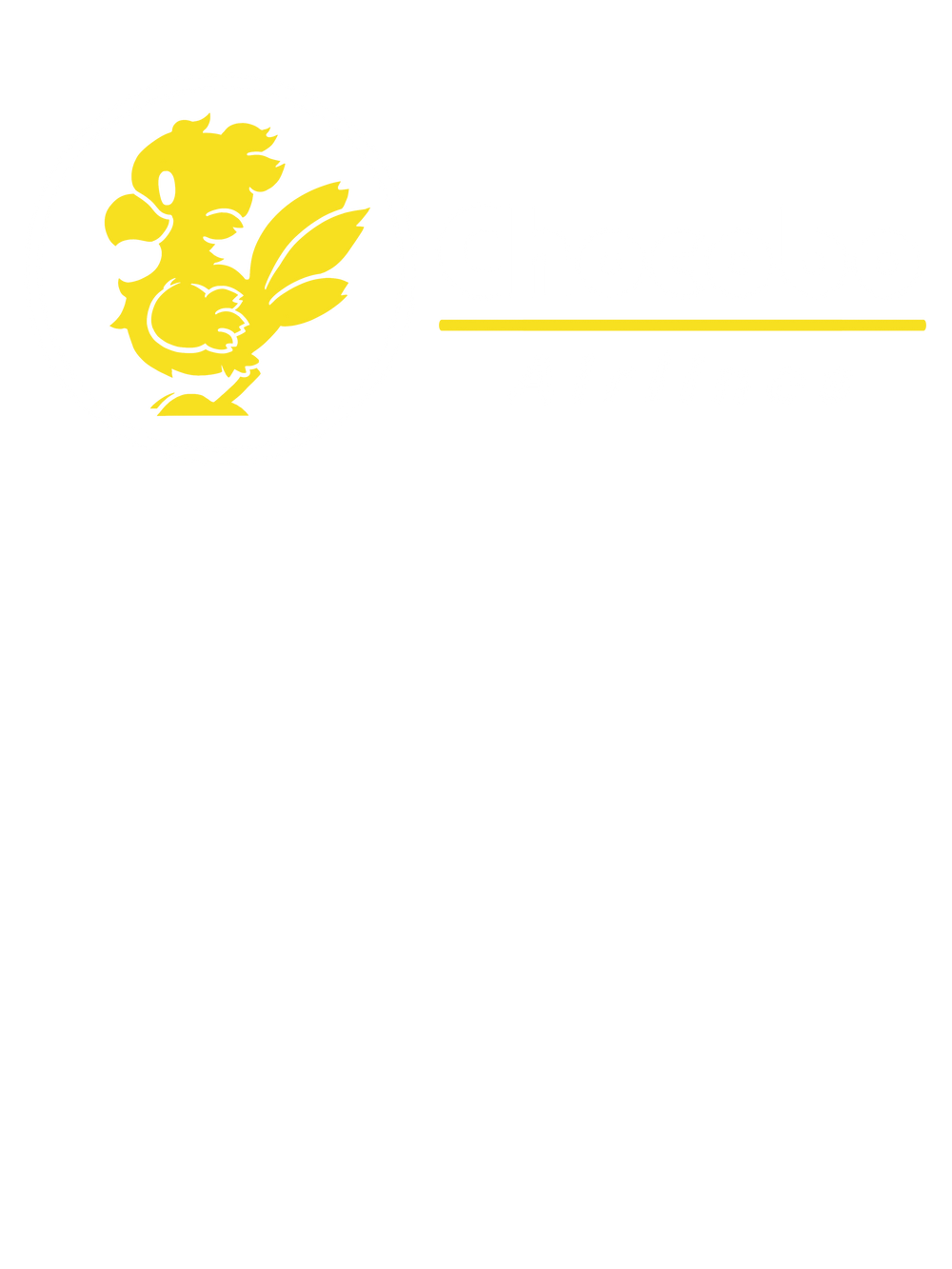 Chocobo Airlines