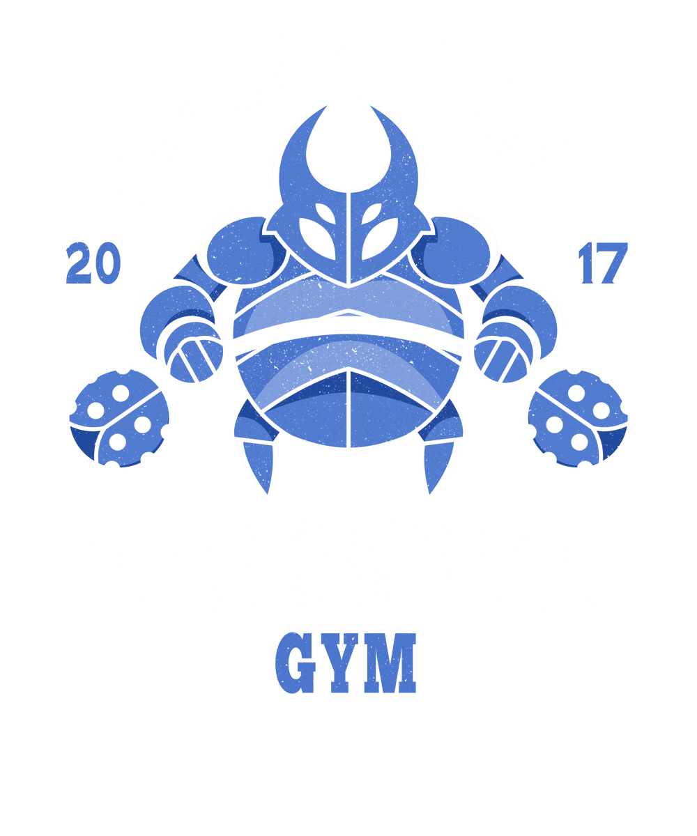 False Knight Gym