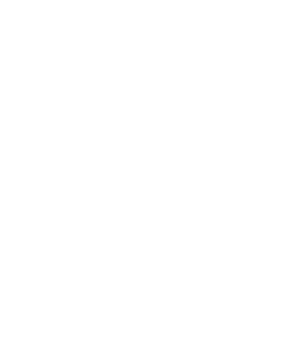 Gamer Evolution
