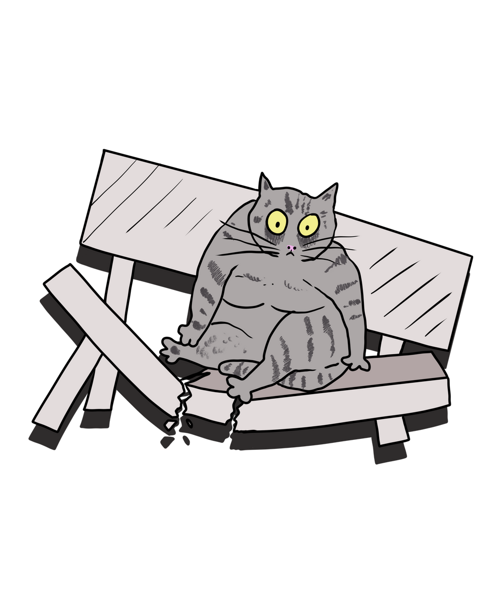 The Cat and the Broken Bench