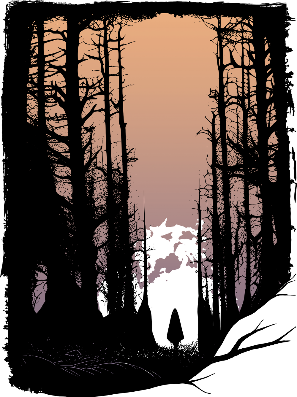 The magic of the forest