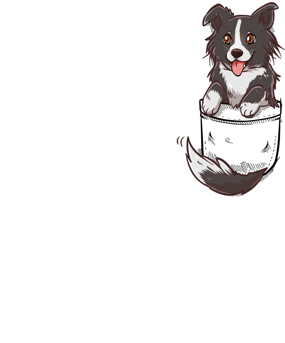 Pocket Cute Border Collie