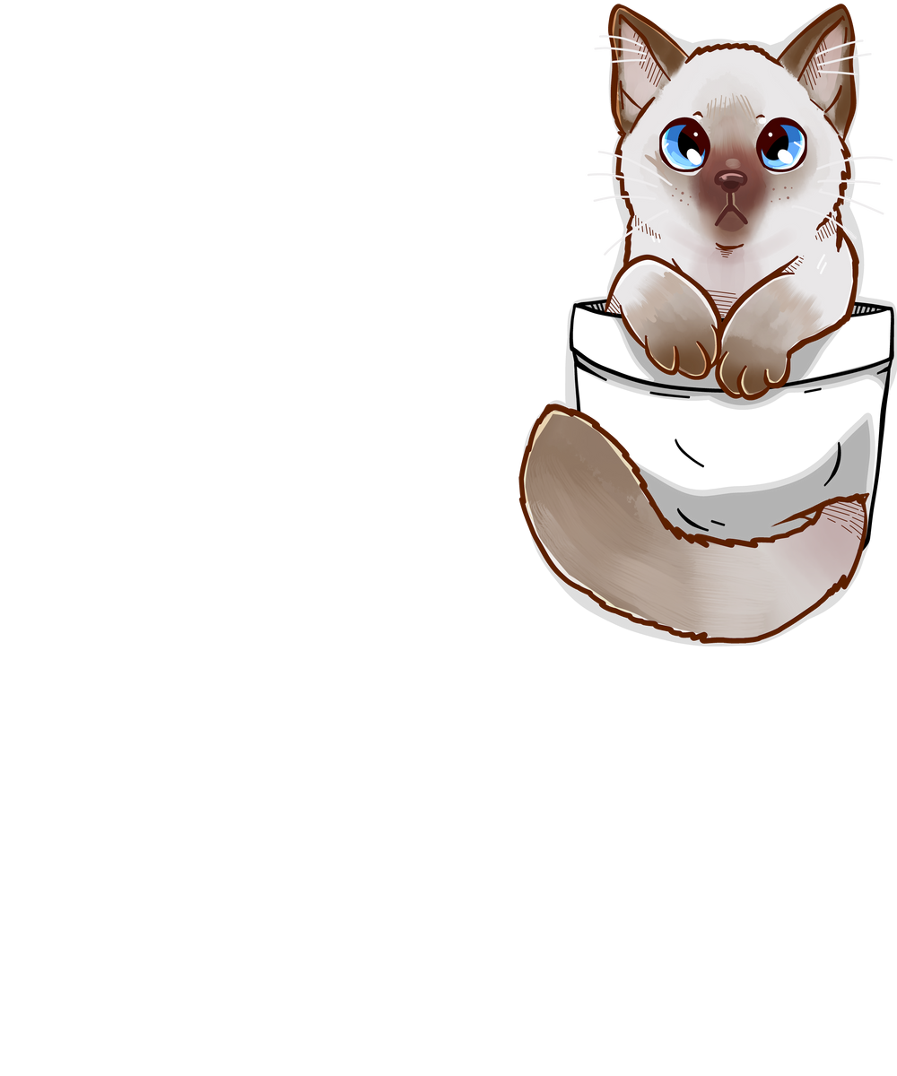 Pocket Cute Ragdoll Cat