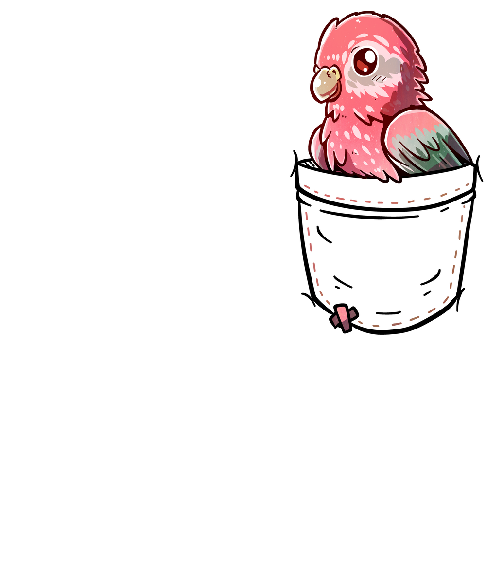 Pocket Pink Bourke Parakeet