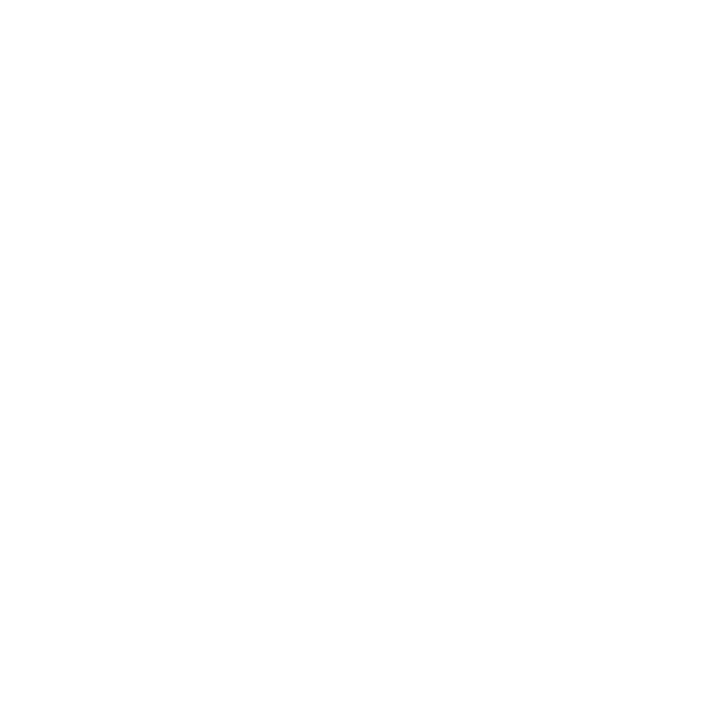 Rebel force