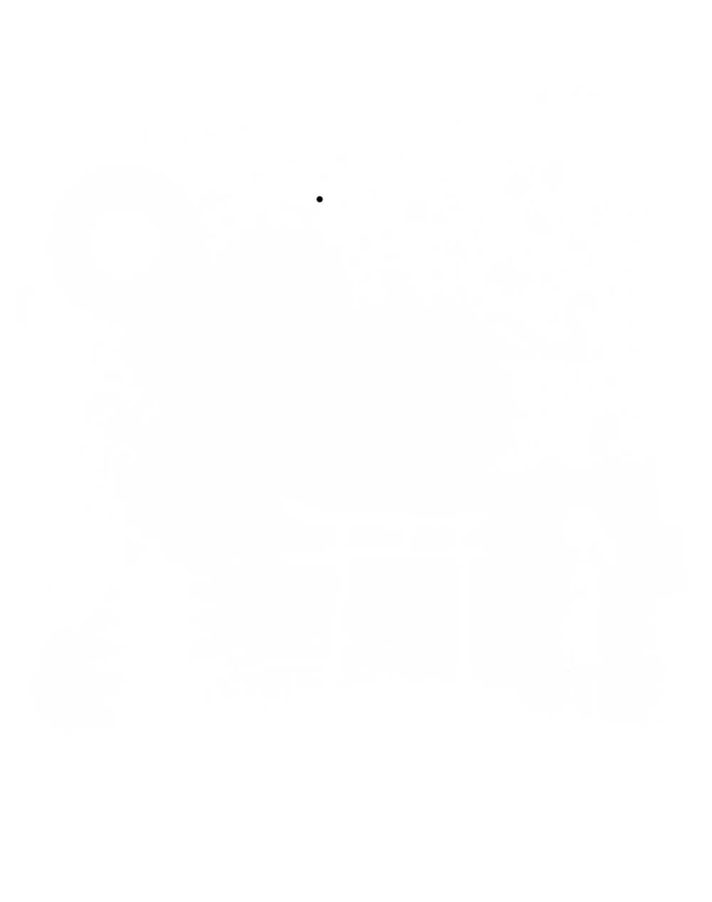Dragon Spirit