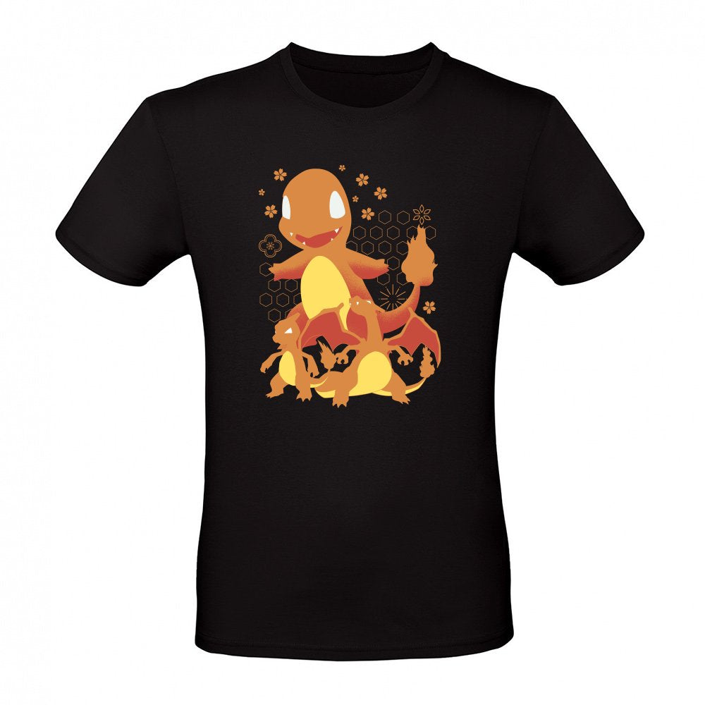 Fire Evolution Pattern
