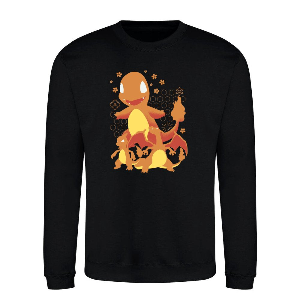 Fire Evolution Pattern