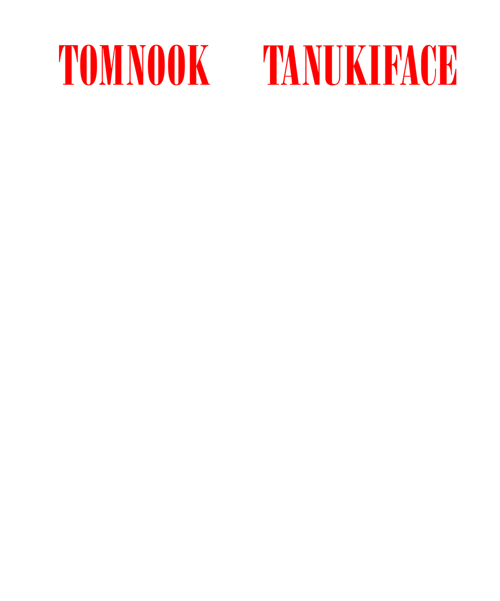 Tanuki Face