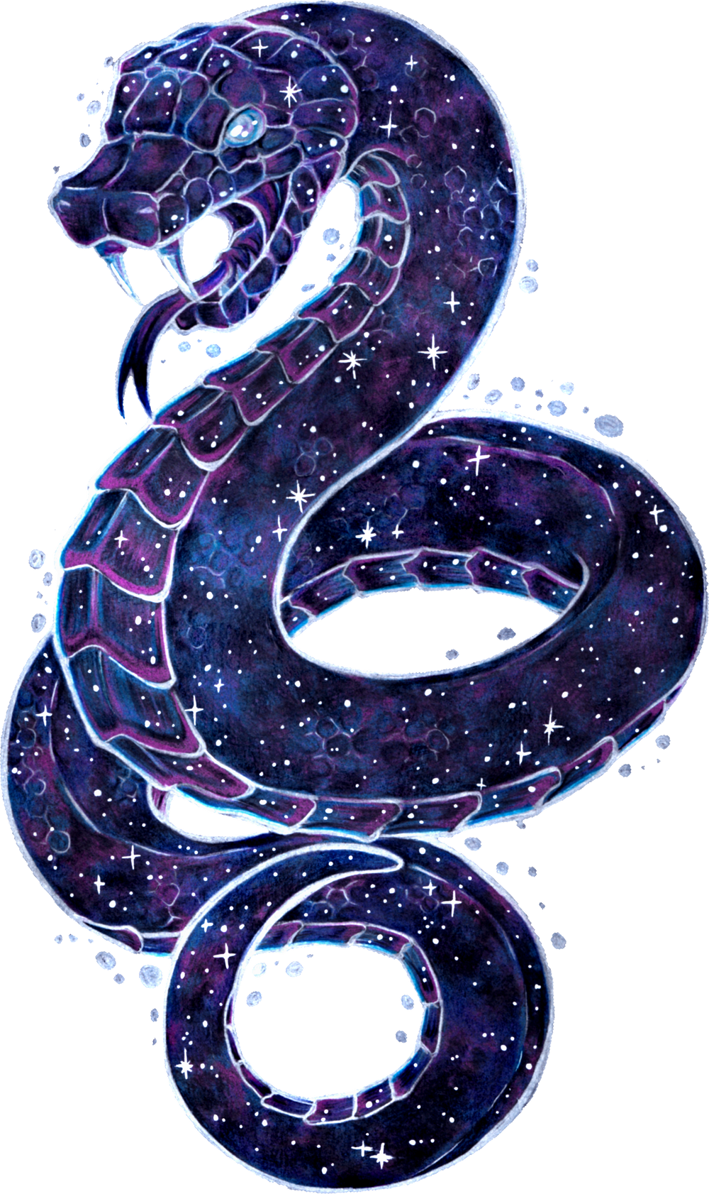 Cool Galaxy Change Reptile Galaxy Animal Zodiac Sign