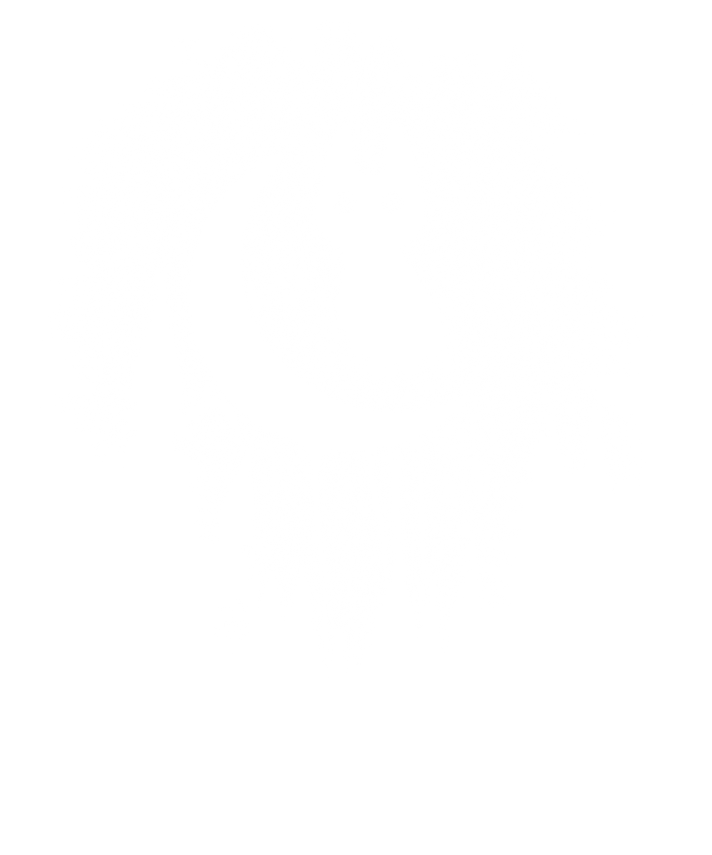 Magical Moon Cat