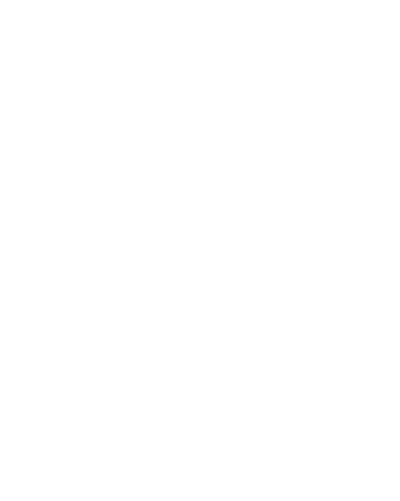 Darth Christmas