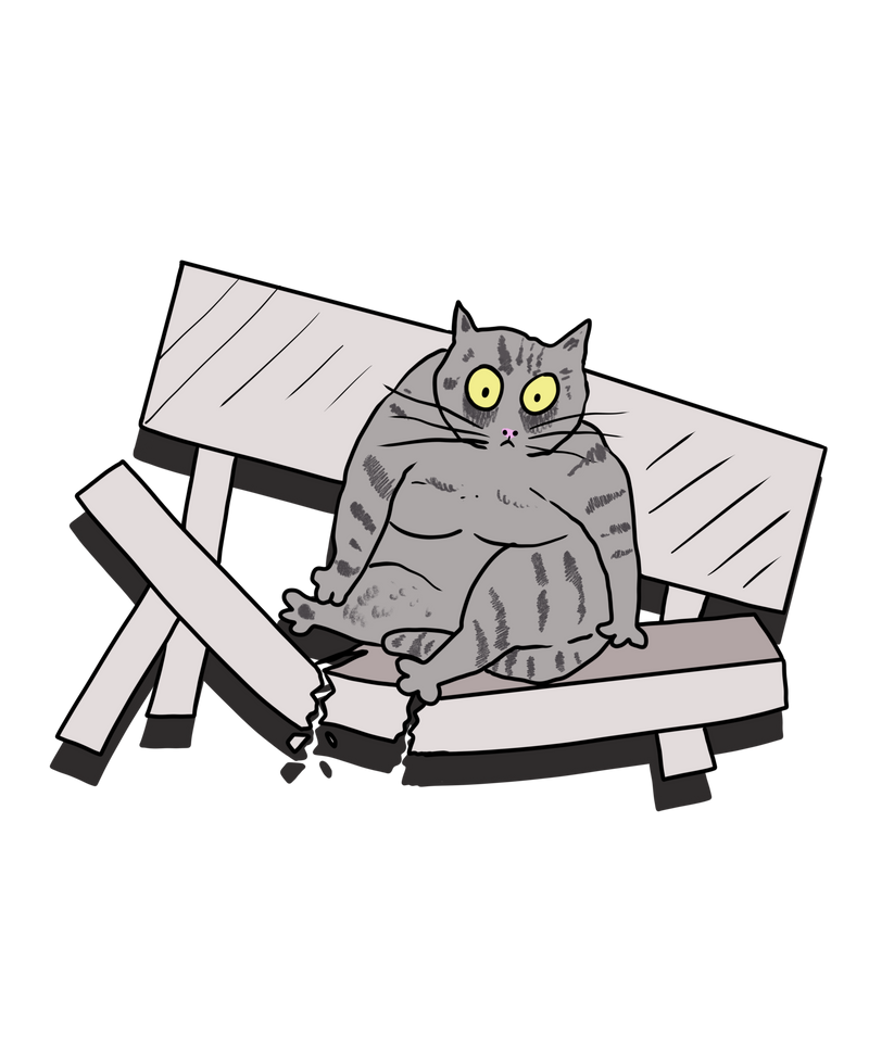 The Cat and the Broken Bench