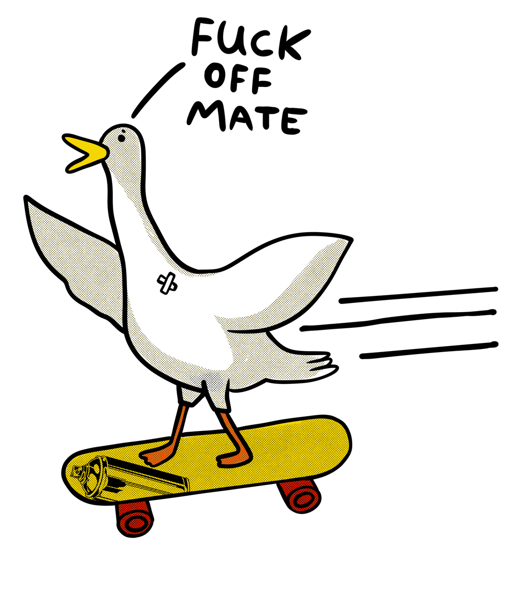 Ente mit Skateboard