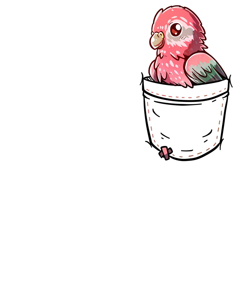 Pocket Pink Bourke Parakeet