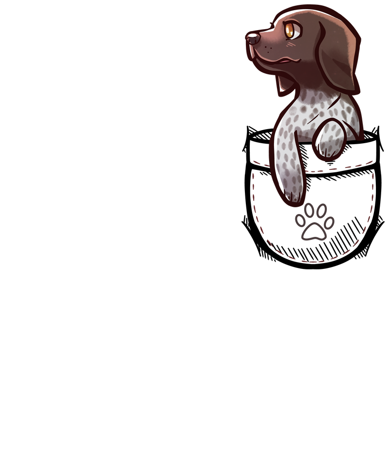 Pocket German Shorthaired Pointer