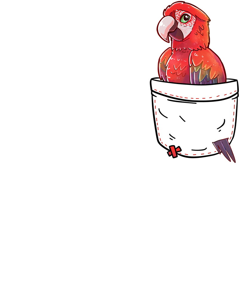 Pocket Red Parrot