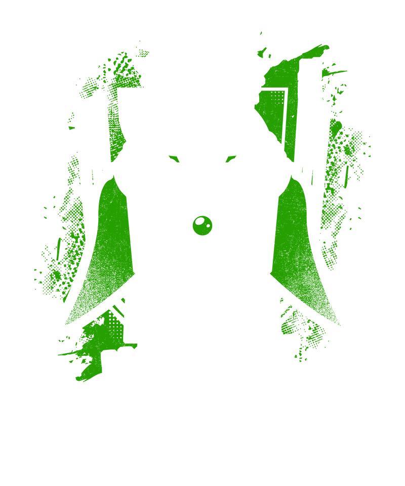 Naofumi's Shield