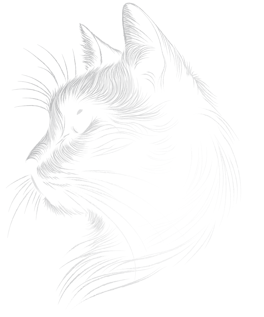 Space cat