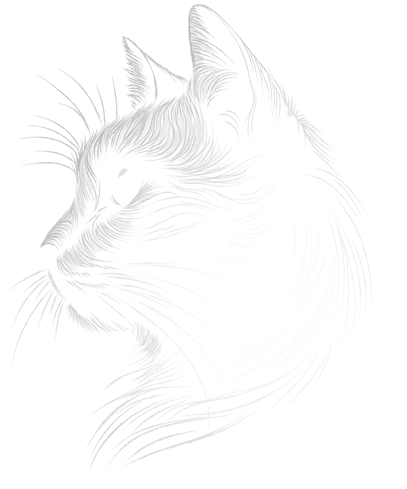 Space cat