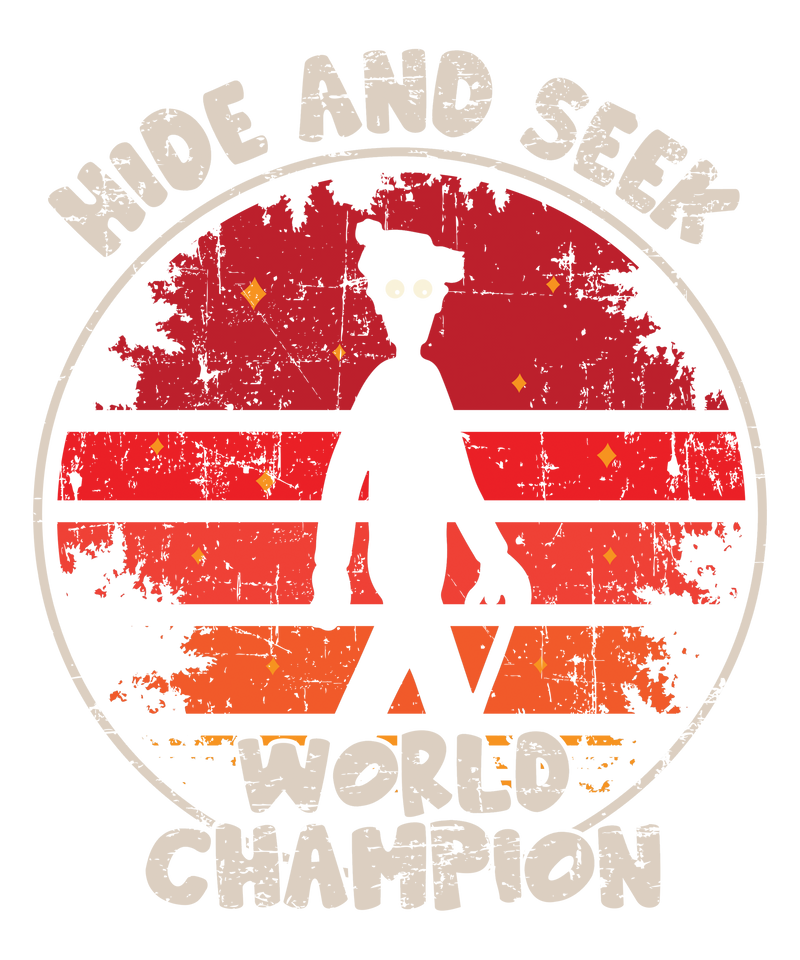 hide and seek world champion