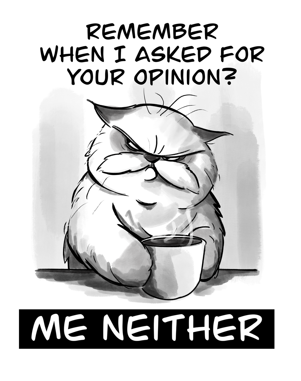 I did not ask for your