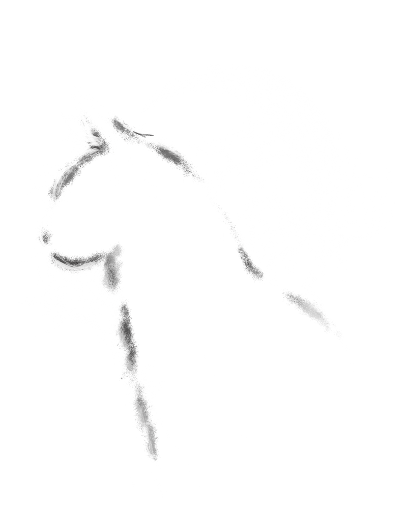 Cat Moonlight