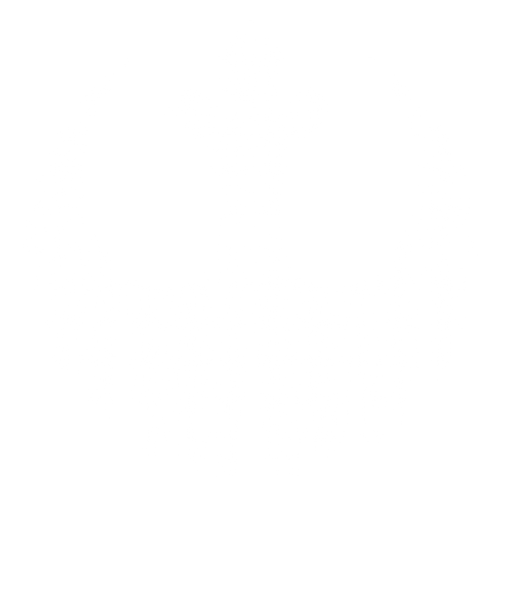 Rebel Wings Star Wars Rebel Scum