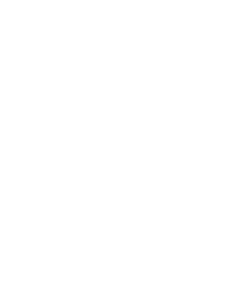 Shinra Inc.