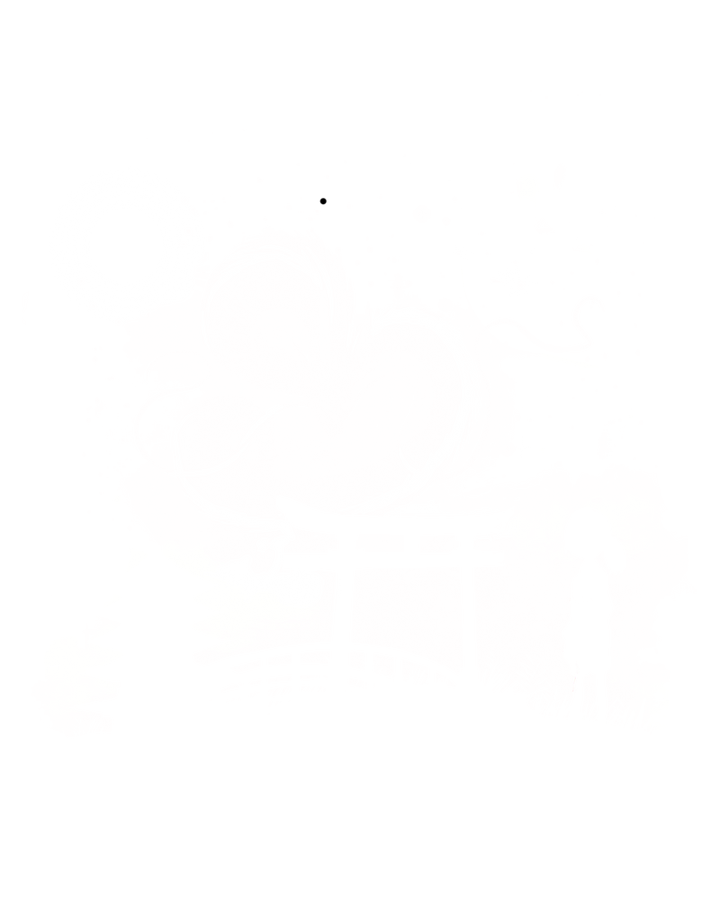 Dragon Spirit
