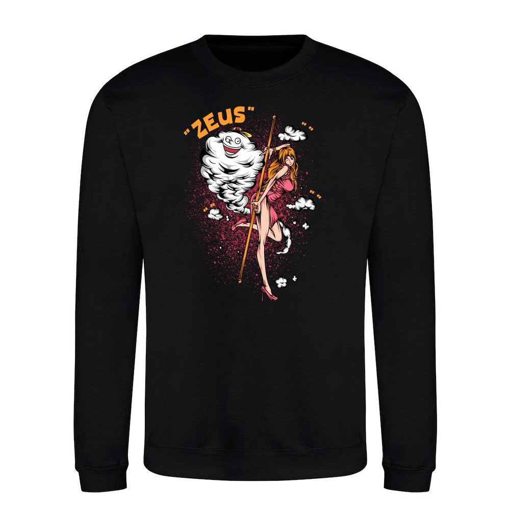 The Sky Navigator
