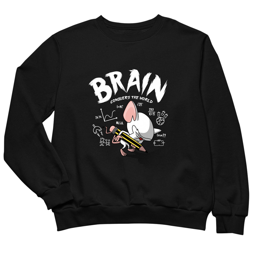 Brain vs. the World
