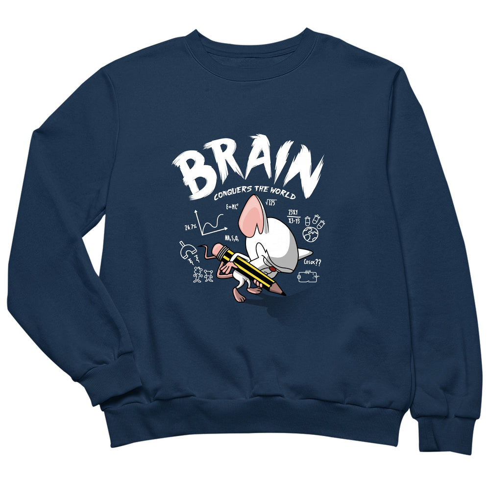 Brain vs. the World