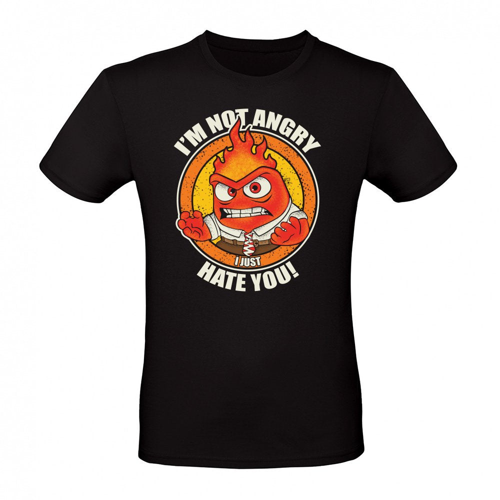 im not angry